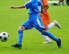 非洲激情碰,马里,塞内加尔,开云体育,开云体育app,开云体育官网,开云体育下载,开云体育入口