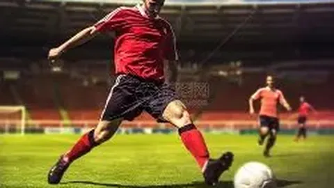 开云体育 资讯 083035 703